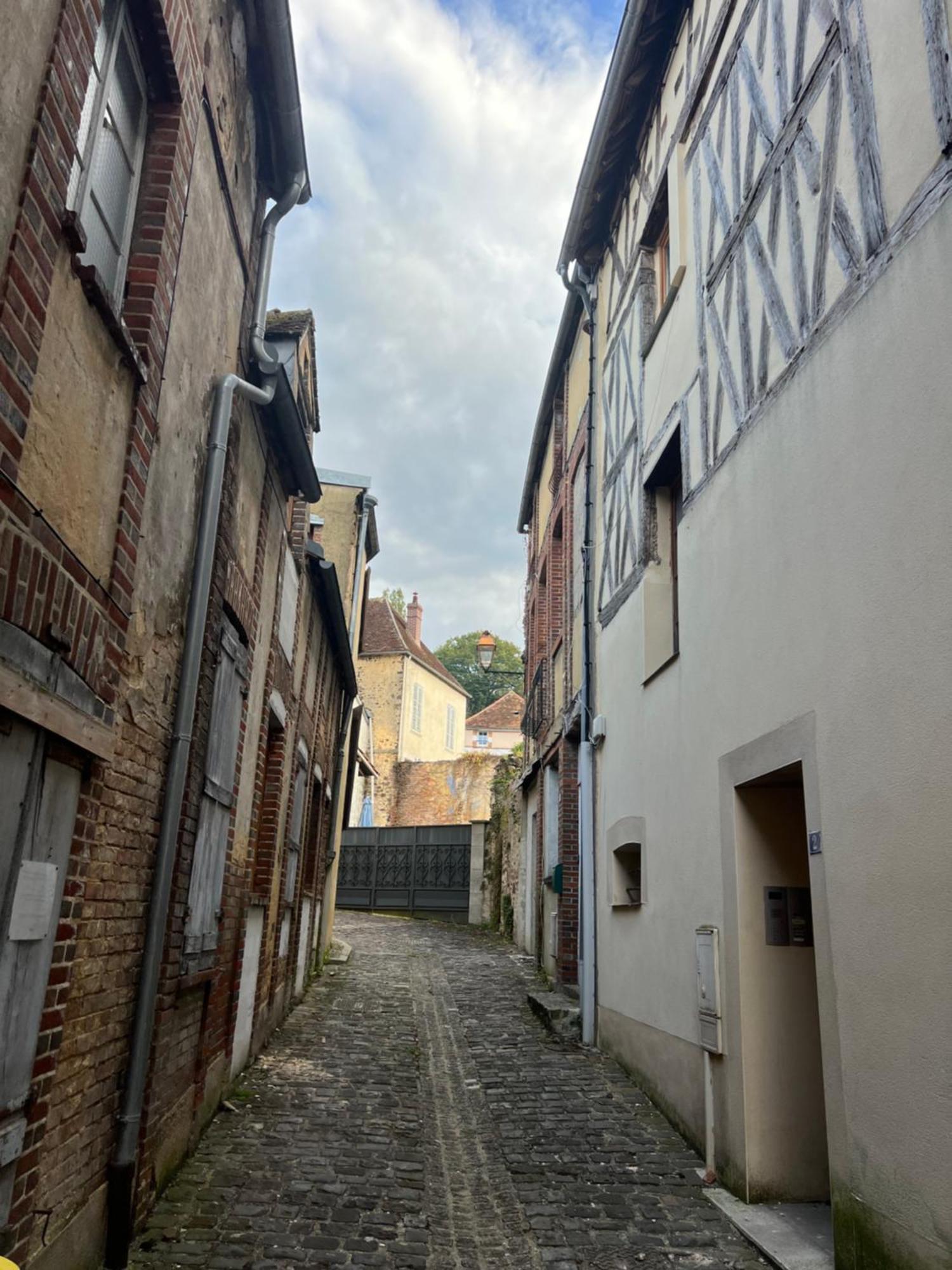 Penzion Le Citadin Bourguignon Toucy Exteriér fotografie